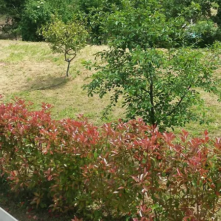 Apartamento Livia Vicino Alle Cinque Terre
