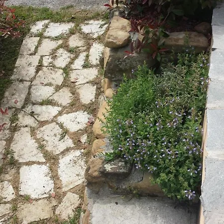 Apartamento Livia Vicino Alle Cinque Terre *