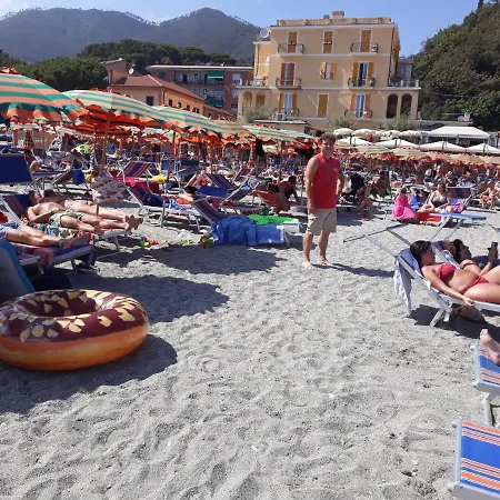 Livia Vicino Alle Cinque Terre *